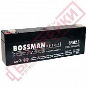Фото - 12V 2,3A  6FM 2.3 Bossman-Profi