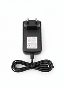 Фото - Зарядний пристрій для акумуляторів LiFePO4 3S 10.8V   (1A автомат) P1012-15-F3